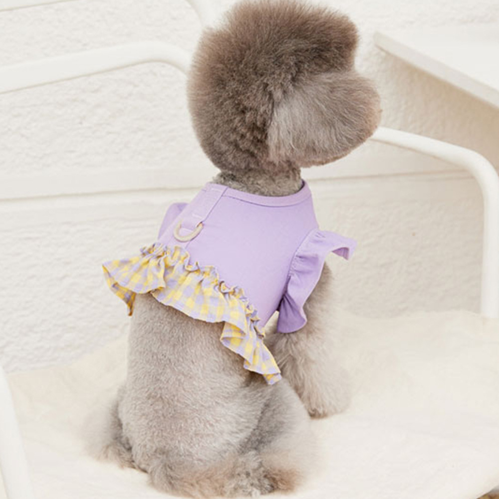 Dog Color Contrast Traction Ro - Lace Teddy Lingerie recensione e prezzo